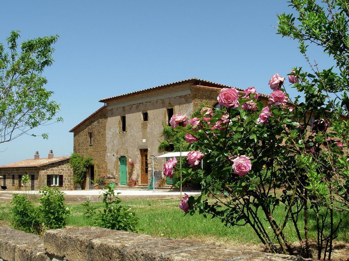 Holiday home In With Swimming Pool Terrace Barbecue Sorano (Grosseto)