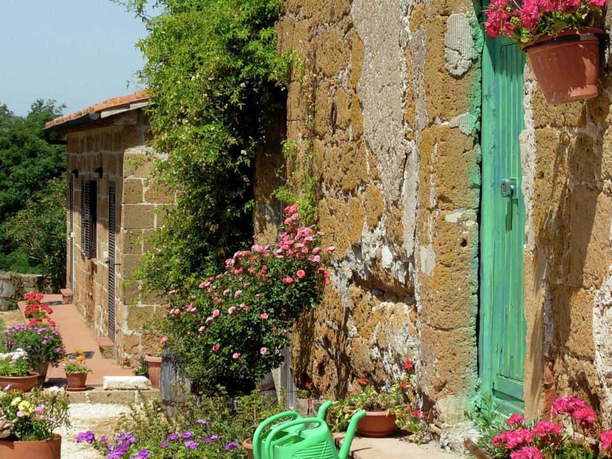 In With Swimming Pool Terrace Barbecue Holiday home Sorano (Grosseto)